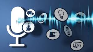 Voice Assistant Integration (Alexa/Google)